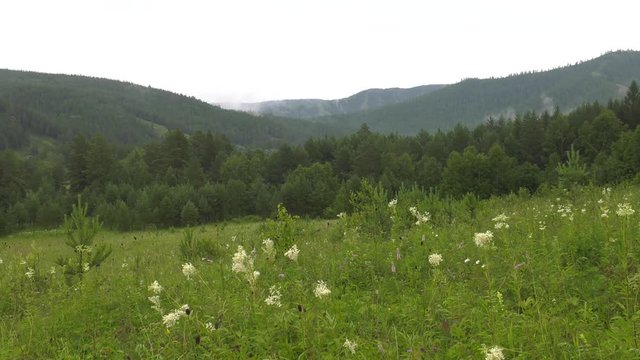 South Urals. Movement of fog over the mountains. x100 times faster.