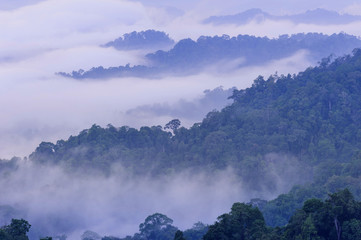 Sunrise tropical mountain Kaeng Krachan National Park Panoen Thung Mountain in Phetchaburi Thailand 