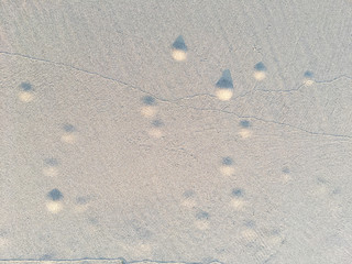 Circle and hole pattern in sand  beach texture, Crab nest, Abstract background concept