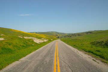Dual lane path across beautiful hills with blossom flowers. California Spring super-bloom season