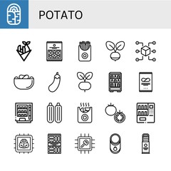 potato icon set