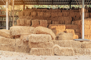 Piled stacks of dry straw collected for animal feed. Dry baled hay bales stack. © JinnaritT