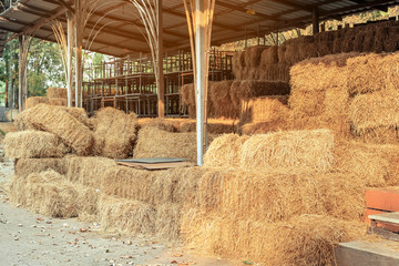 Piled stacks of dry straw collected for animal feed. Dry baled hay bales stack.