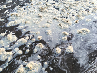 Dirty Sea foam or Whipping cream ocean, Pollution of environment