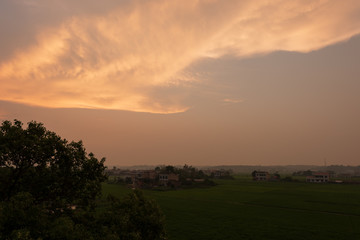 Composition of beautiful sky background, forest and sunset.