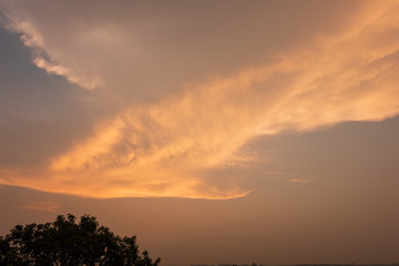 Fototapeta premium Composition of beautiful sky background, forest and sunset.