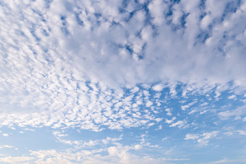 Fototapeta premium Composition of beautiful sky background, forest and sunset.