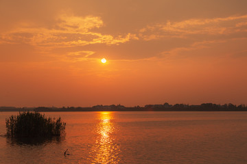 Naklejka premium Composition of beautiful sky background, forest and sunset.