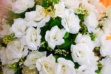 abstract flower background in bloom