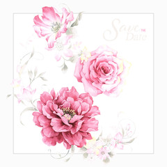 Set of card with flower rose, leaves. Wedding ornament concept. Floral poster, invite. Decorative greeting card or invitation design background