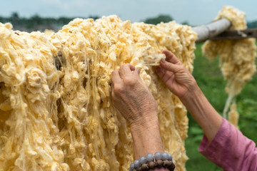 Raw of threads extracted from the cocoon of the silkworm drying outdoor, with Vietnamese woman hands separating the threads