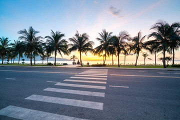 Road crossing with coconut tree line by beach at sunrise
