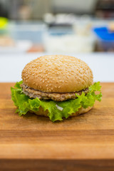  fast food for cafes and snacks with juicy ingredients