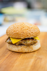  fast food for cafes and snacks with juicy ingredients