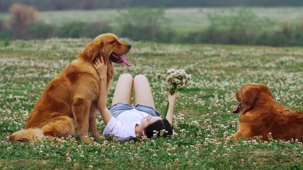 Asian girl holding a bunch of white flowers lie on the grass covered with flowers with two golden retrievers beside. Slow motion, Two golden retrievers and Asian woman lie on grass outdoors together. - Powered by Adobe