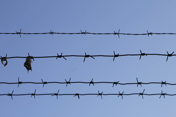 Barbed wire fence in zoom