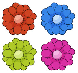 Isolated set of flower in four colors