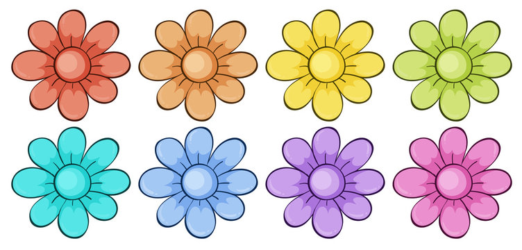 Isolated set of flowers in many colors