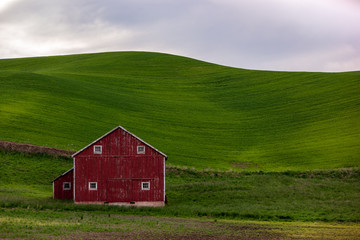 Obraz premium Old Barn in the Palouse