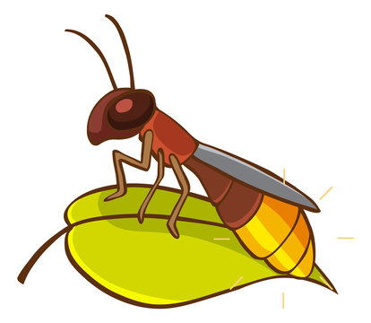 cartoon firefly on green leaf clip art preview