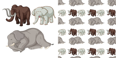 Seamless background design with wild elephants