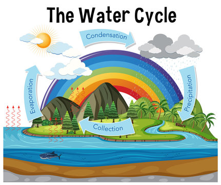 Diagram showing water cycle with rainfall and ocean