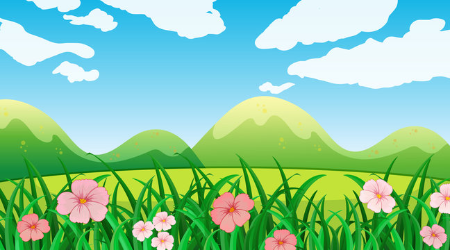 Nature scene background with flowers in the field
