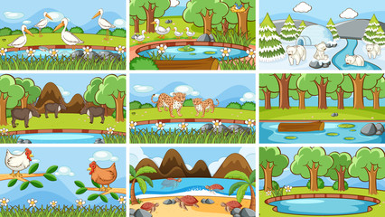 Background scenes of animals in the wild