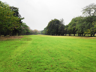 The view of the green meadow and the bright trees in the par