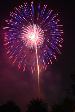 Blue and red fireworks mixed in purple. Single firework.