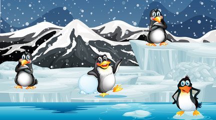 Scene with penguins on ice