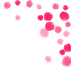 Rose gold petals flying cosmetics vector background.