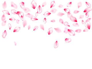 Spring tree flowers parts, airy flying petals