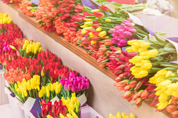Abundance of tulips of different colors on the counter of the store. Cut flowers lie in rows. Flower shop vendor 's workplace