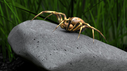 Orb weaver spider on rock in jungle 3d rendering