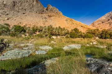 Wadi Tiwi river and canyon with rocky cliffs and green water springs - Sultanate of Oman
