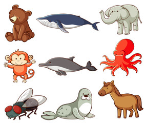 Large set of wildlife with many types of animals