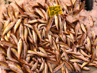 Invasive goldband redmullets, Upeneus mollocensis, on sale in fish market of Istanbul Turkey