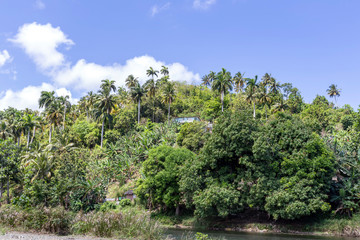 At the shore of the river called Miel, Baracoa, Cuba