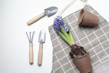 Fototapeta na wymiar Garden tools and plants on white background. Spring garden concept. Beautiful hyacinths flowers. Place for text.