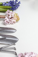 Garden tools and plants on  white background. Spring garden concept.  Beautiful hyacinths flowers.  Place for text.
