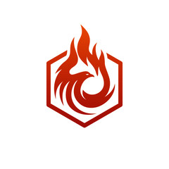 Falcon fire logo design