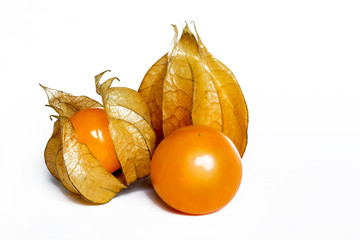 physalis fruits isolated on white background