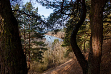 The surroundings of Grodno. Belarus. Neman River through the branches of forest trees.