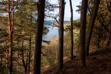 The surroundings of Grodno. Belarus. Neman River through the branches of forest trees.