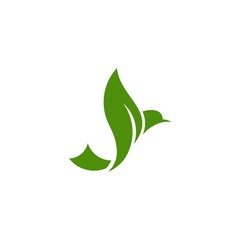 vector of a winged bird