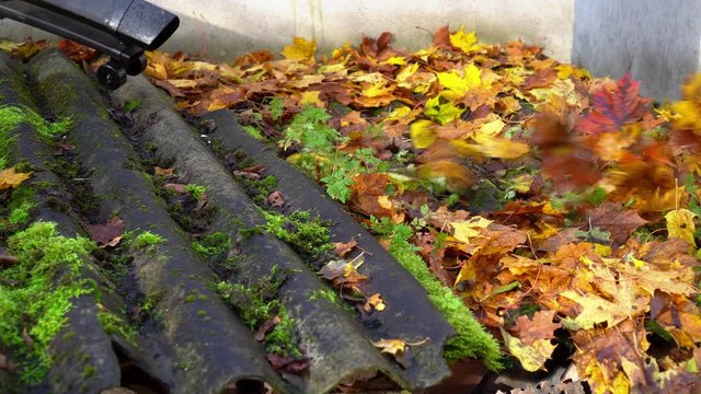 Colorful leaves blow from asbestos roofing surface with special leaf blower tool