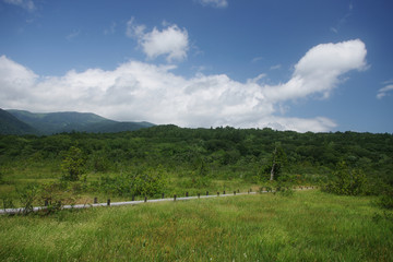 宮城県栗原市世界谷地原生花園（湿原）