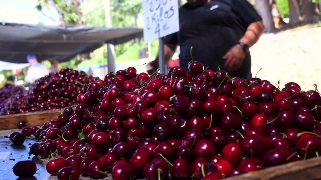 Selling Cherries on a market stand