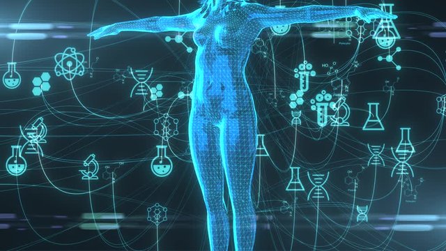 Human Metabolism body energy animation render